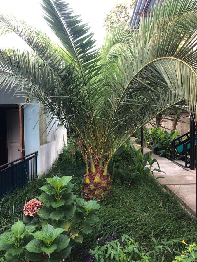 Hôtel Green House à #N/A Extérieur photo